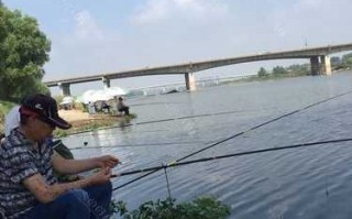 新河桥钓鱼怎么样？新河桥钓鱼怎么样好钓吗？