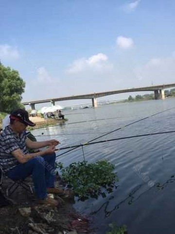 新河桥钓鱼怎么样？新河桥钓鱼怎么样好钓吗？