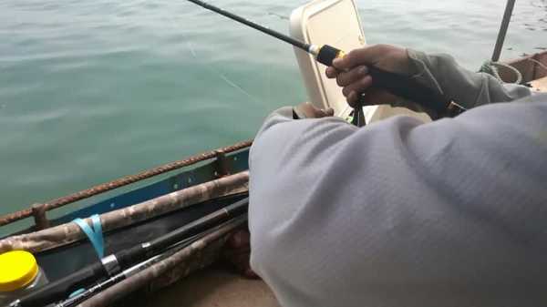 海岛怎么样钓鱼视频，岛屿钓鱼-第3张图片-ZBLOG